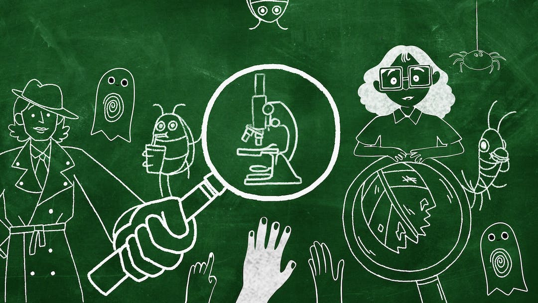 A chalk-line illustration of a cast of characters from MetKids Microscope Season 2, featuring an art detective pointing her magnifying glass at a microscope, fingerprint ghosts, an assortment of bugs, and a girl resting on a magnifying glass zooming in on a bug-eaten leaf