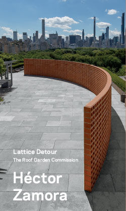Roof Garden Commission Hector Zamora Lattice Detour