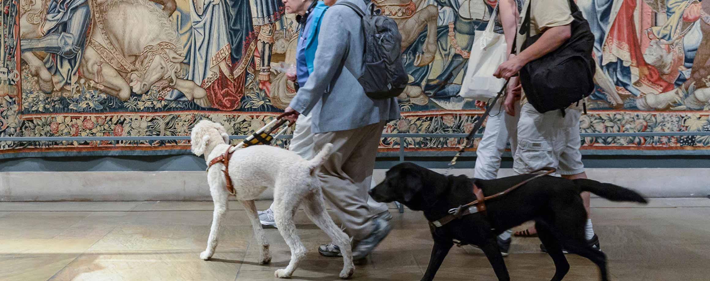 Visitors guided through the galleries by their service animals.